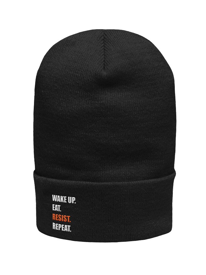 Resist Beanie product image (1)