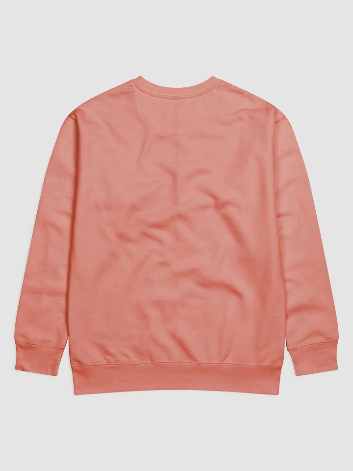 Radically Loved Evolution Sweatshirt product image (2)