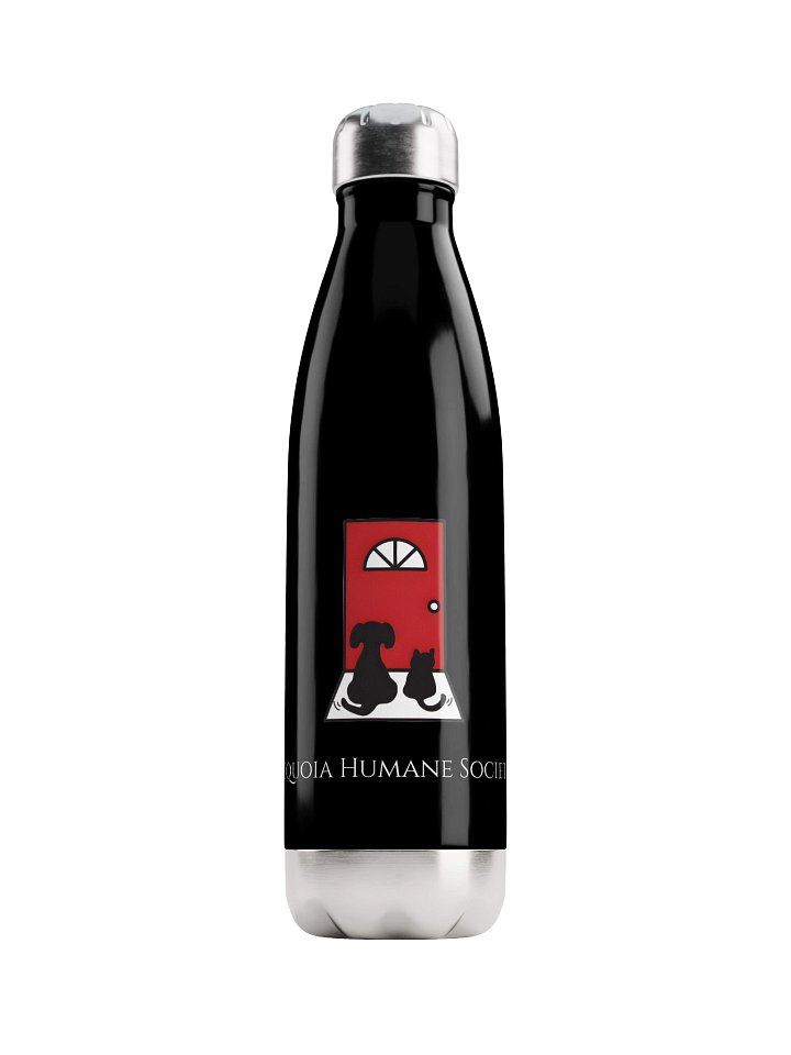 Stainless Steel Water Bottle product image (1)