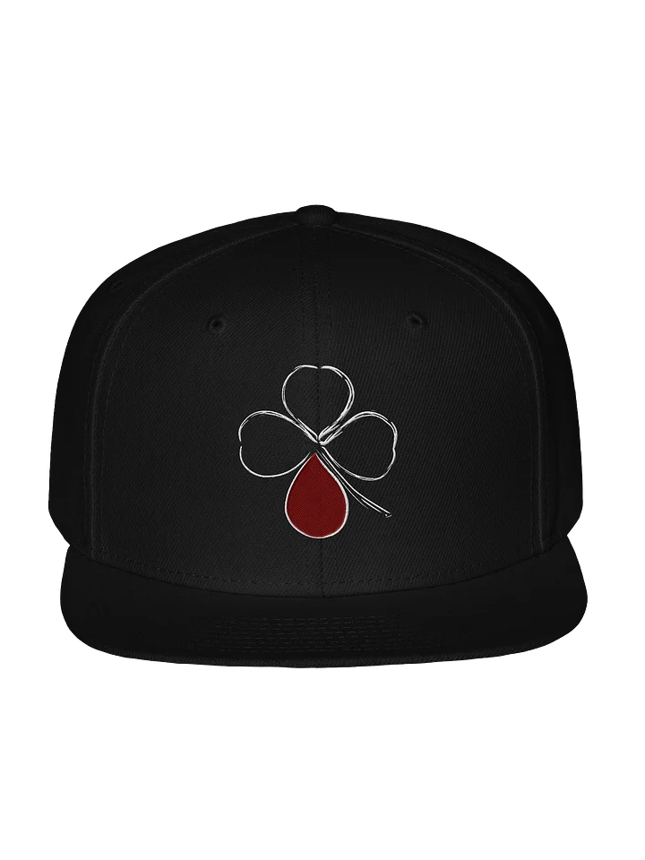 Classic Snap Back Hat product image (1)