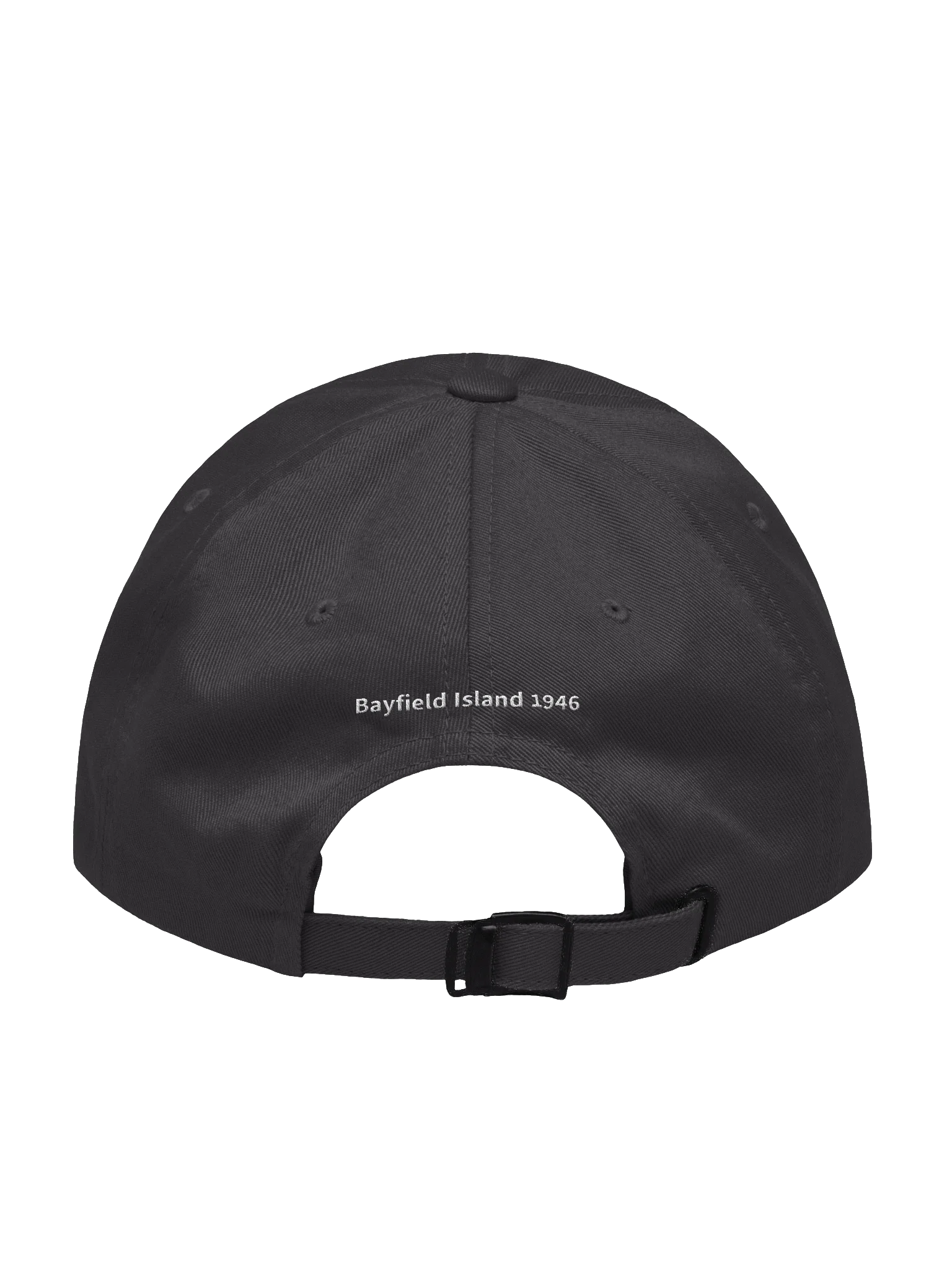 529A Dad Hat product image (18)