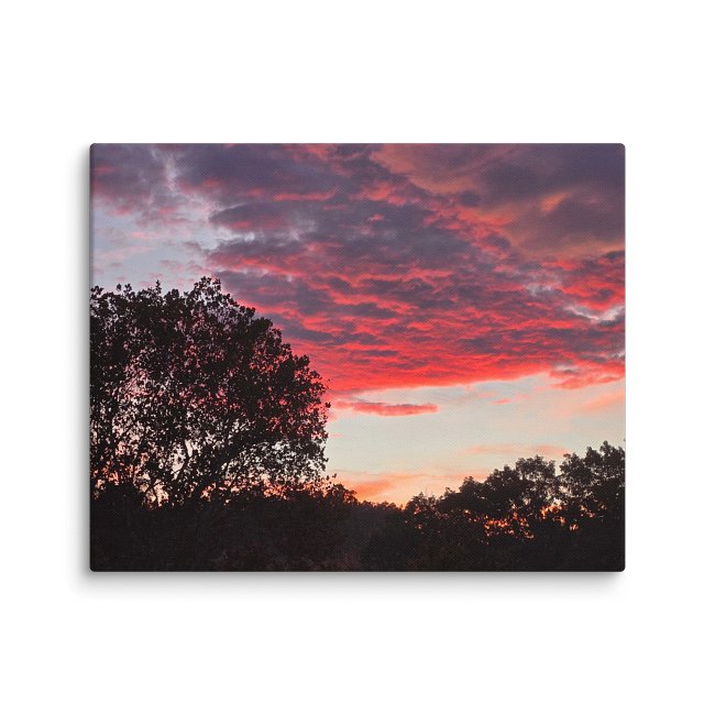 Autumn Sky