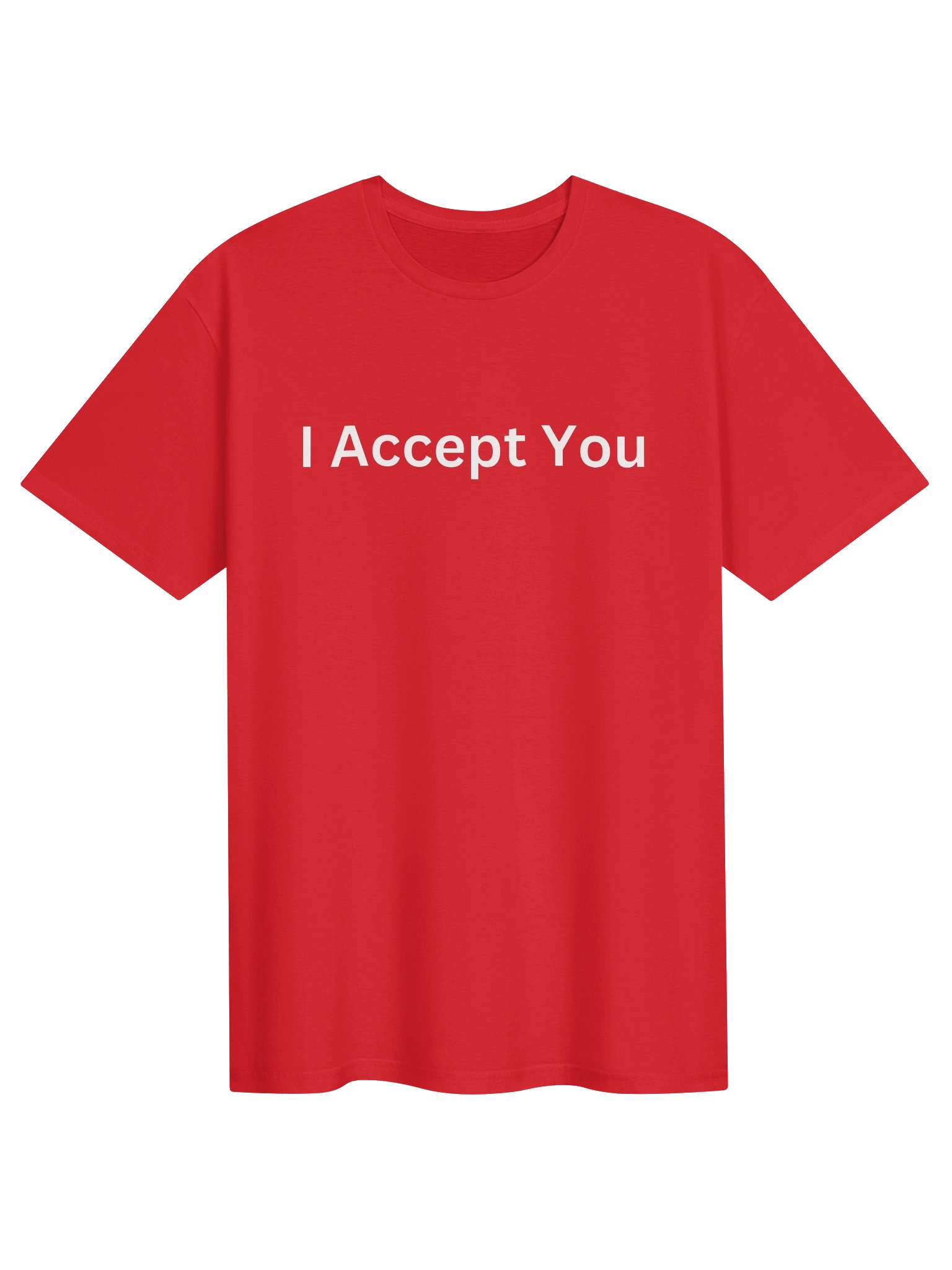 I Accept You T-Shirt product image (2)