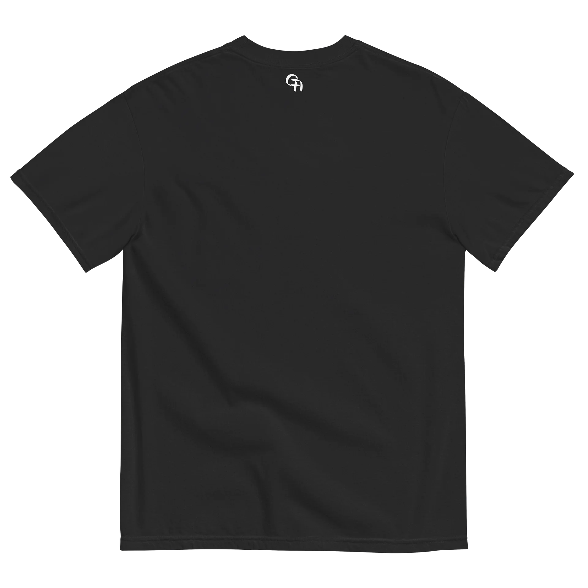 HIS GLORY TEE - BLACK product image (2)