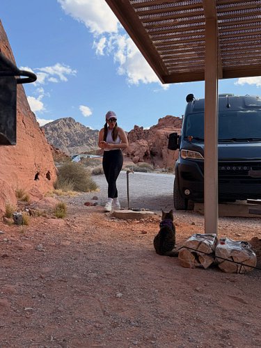 But what about the cats? No worries…they’re living their best lives in the @noovovans too 😎🐈‍⬛

#vanlife #catsofinstagram #ca...