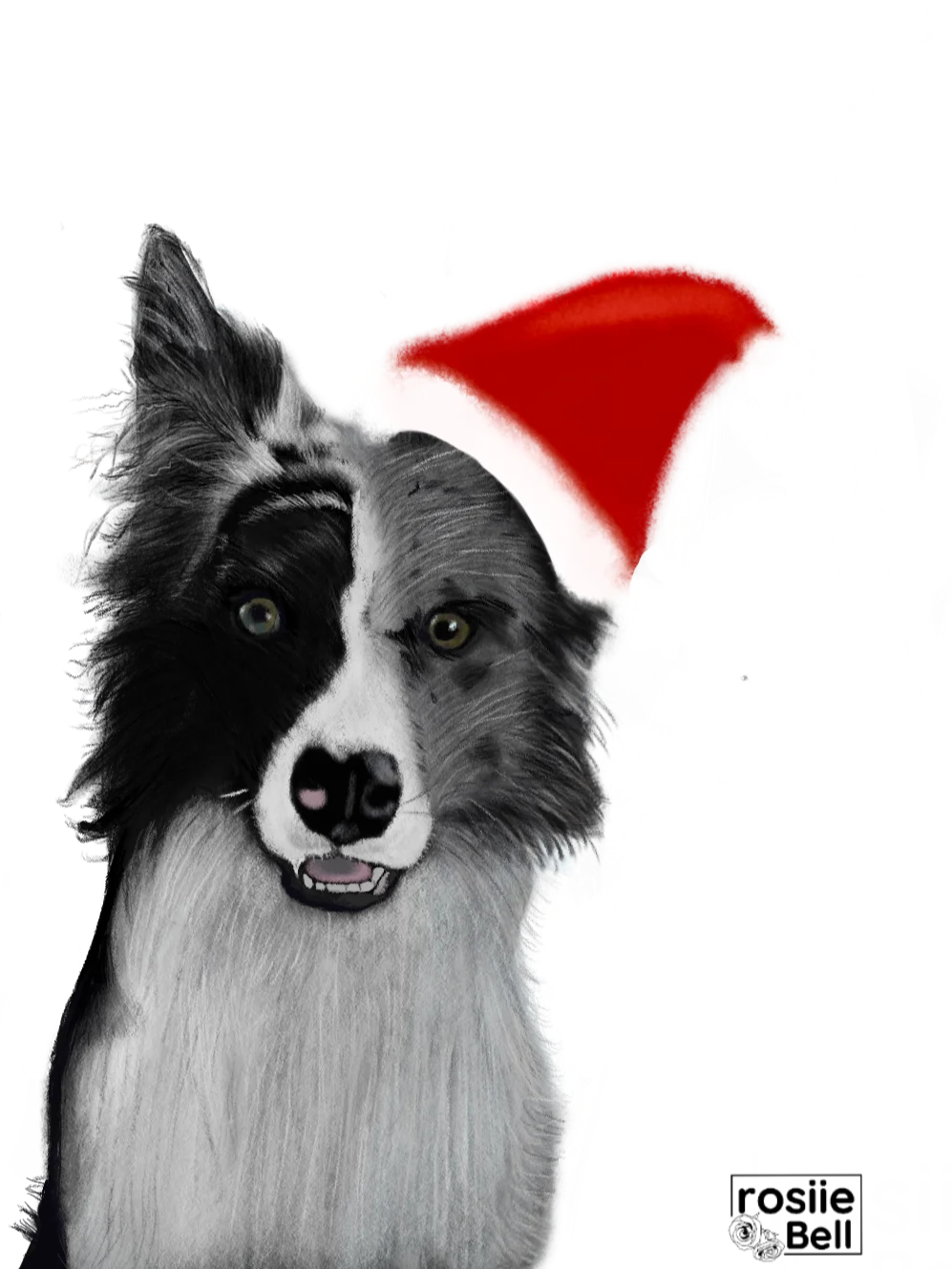 Border Collie Christmas product image (3)