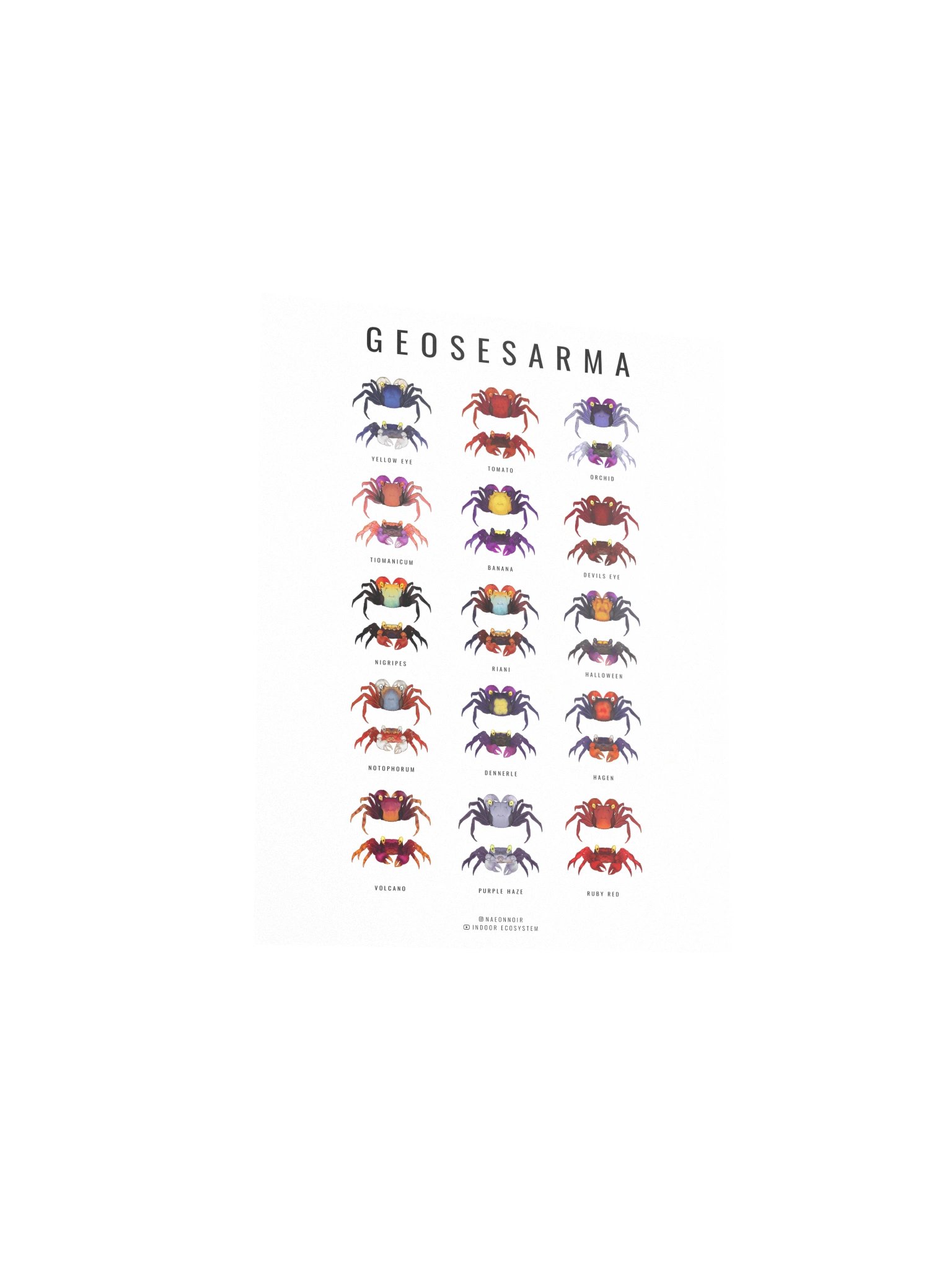 GEOSESARMA VAMPIRE CRAB POSTER (WHITE) product image (3)