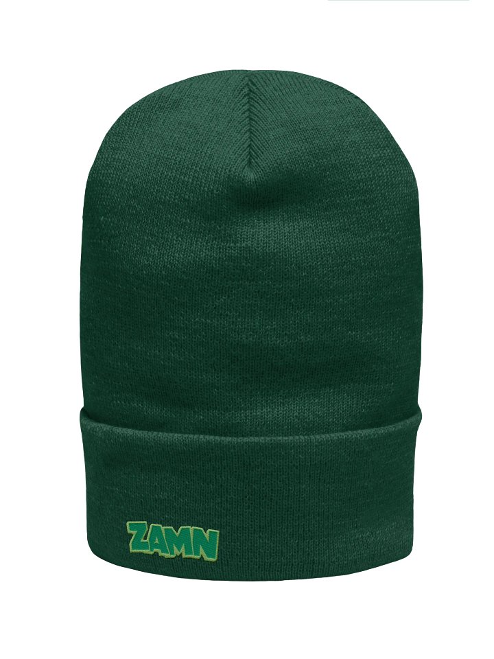 ZAMN Logo Beanie: Green product image (1)