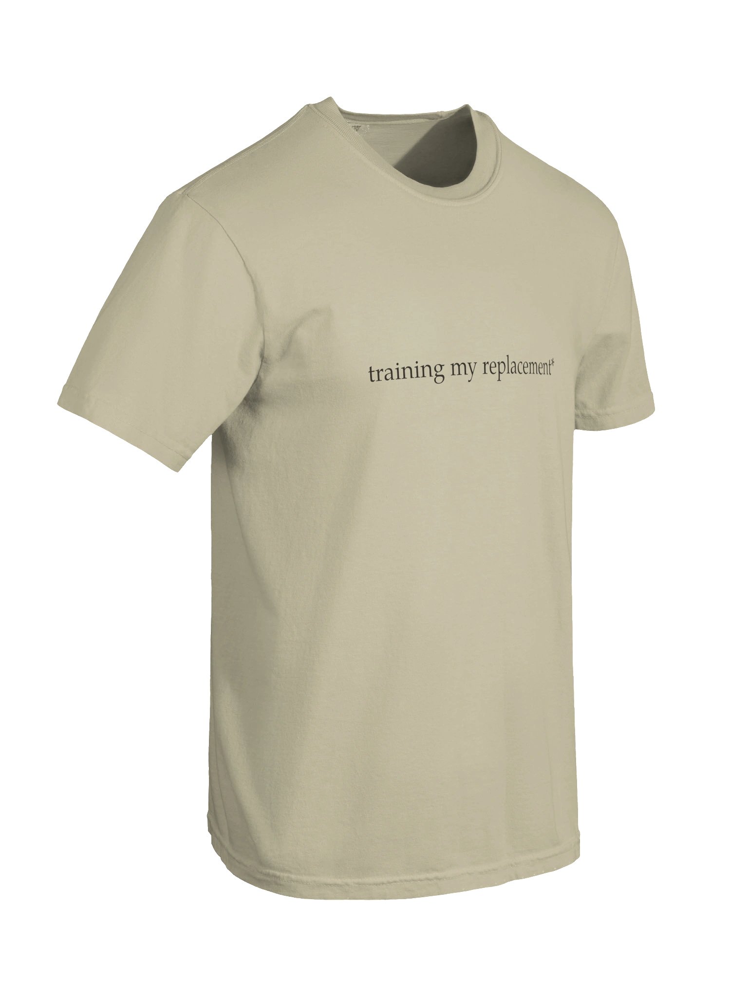 training my replacement* product image (6)