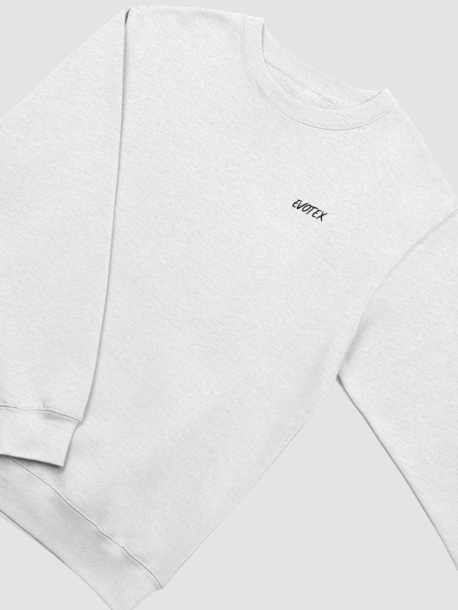 neutral Oatmeal Sweatshirt product image (3)