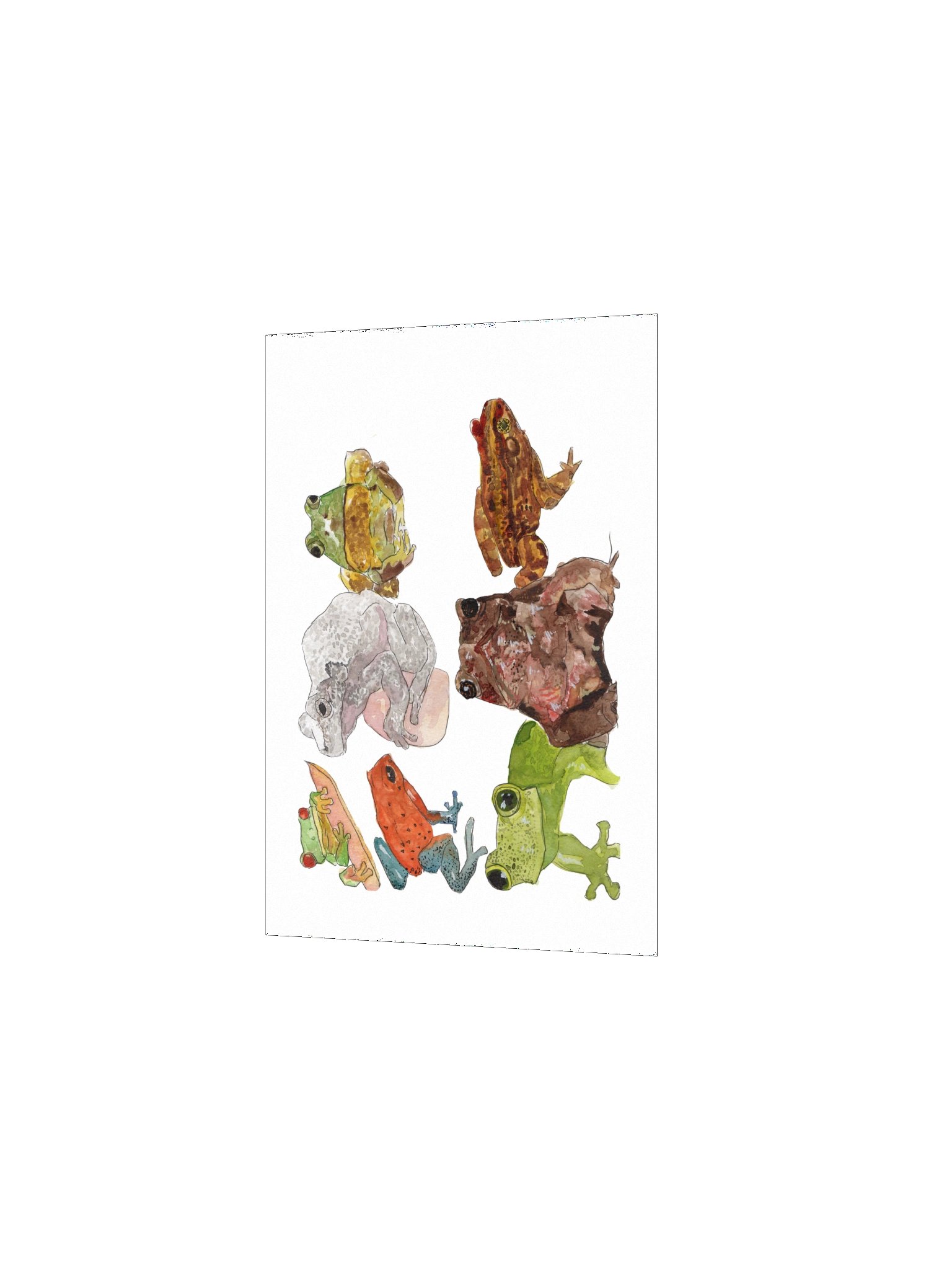 Frog Sketches Print product image (7)