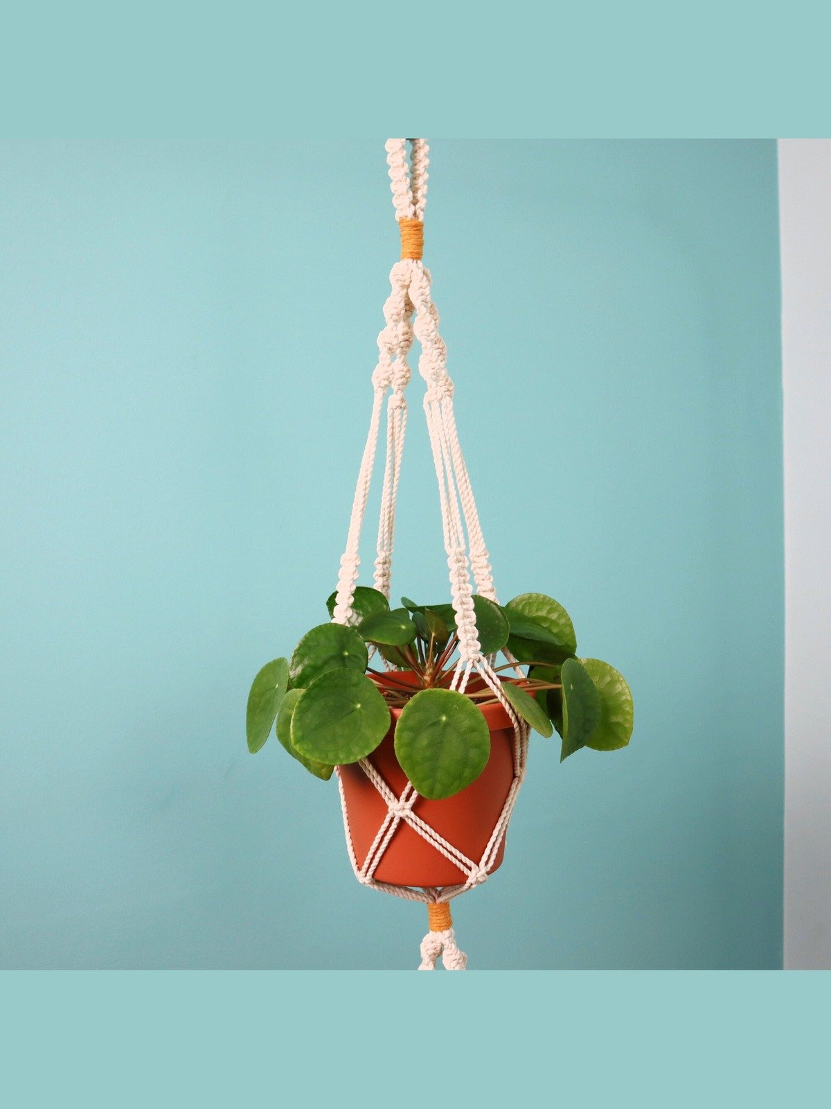 Double Macrame Plant Hanger (Digital PDF Pattern) product image (3)