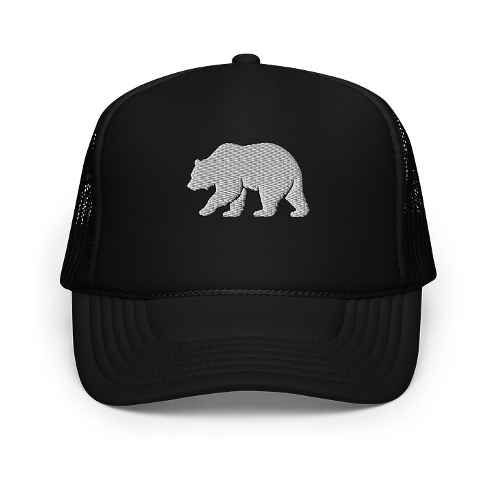 Logo Hat product image (1)