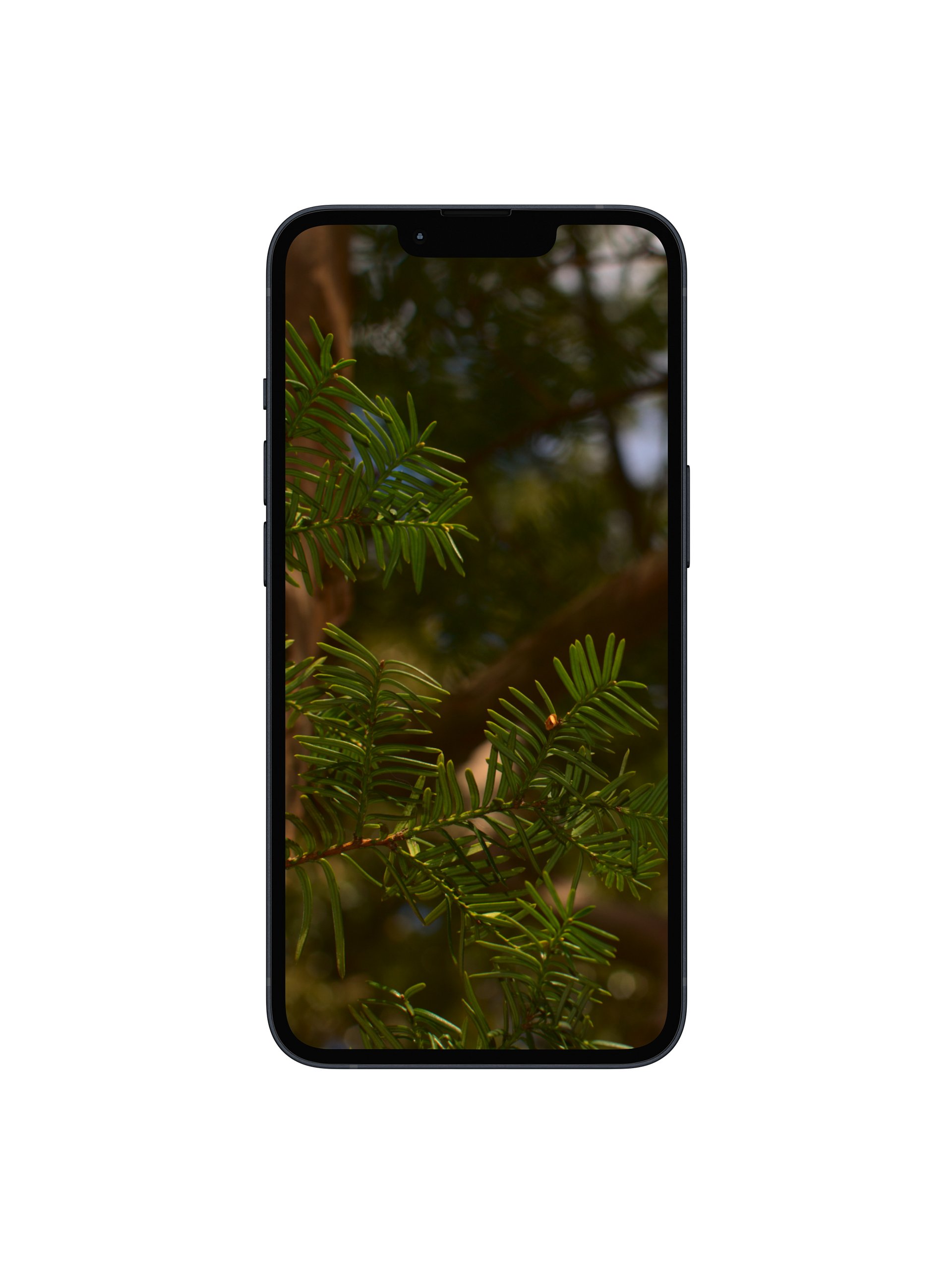 Between the Branches Digital Wallpaper Set product image (1)