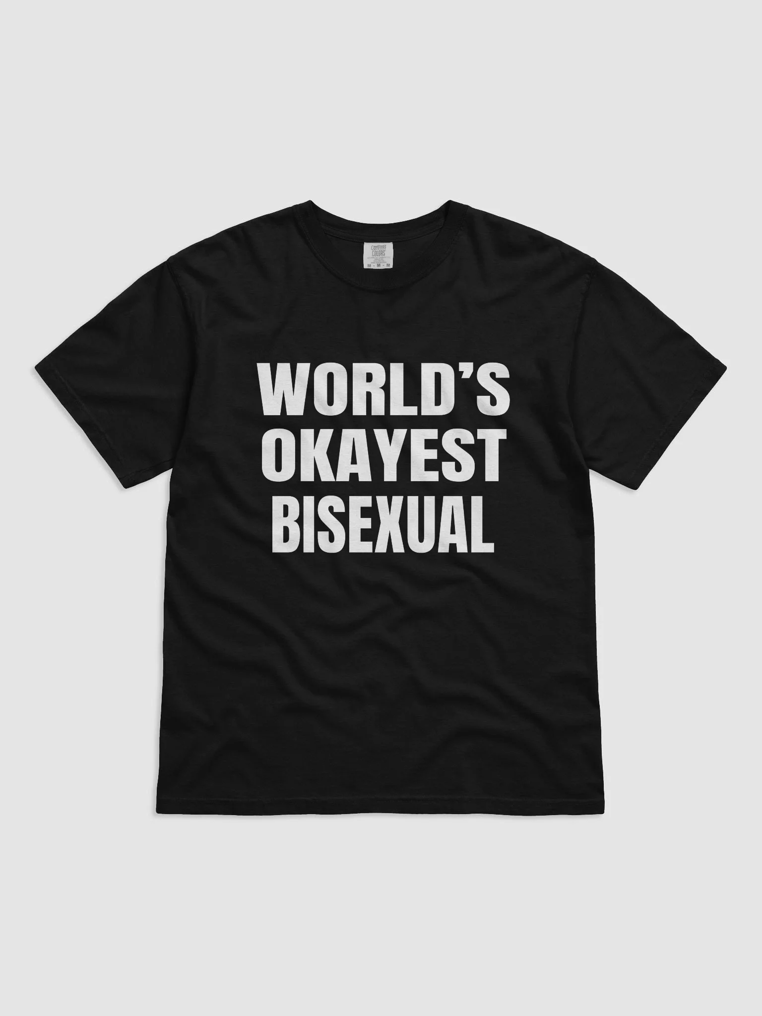 World's Okayest Bisexual T-Shirt