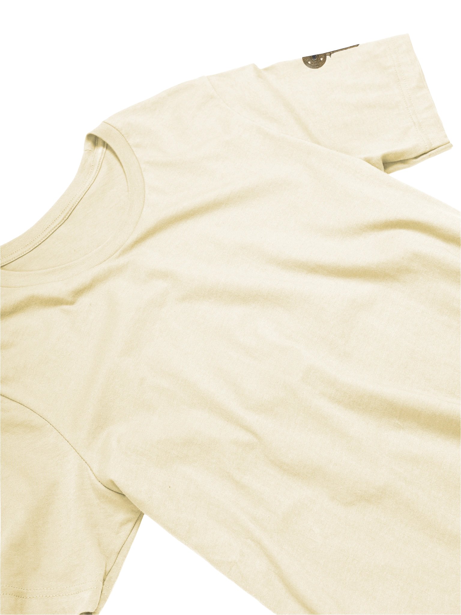 The Gatekeeper’s Key Classic T-Shirt – Back & Left Shoulder Print | Natural | Bella+Canvas 3001 product image (3)