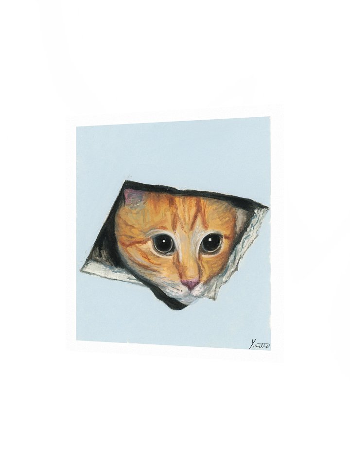 ceiling cat print product image (2)