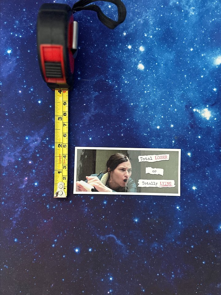 Agatha "Total loser or totally lying" product image (2)