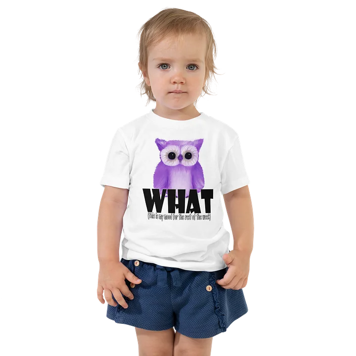 Toddler T-Shirt - Bella+Canvas product image (11)