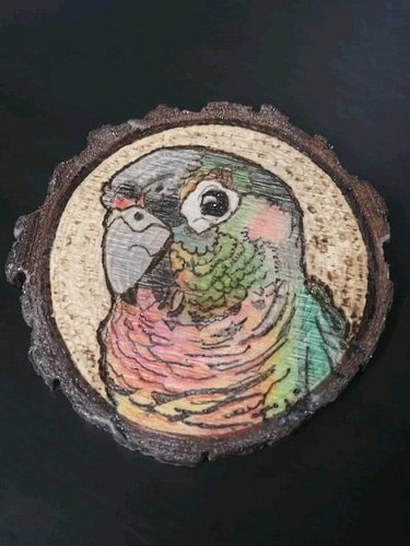 My nephew Tiki <3

I thought you were so handsome, that I used your picture as my first wood burning attempt. Then I thought ...