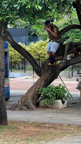 From @flyingeagleskates trip to São Paulo 🇧🇷 

Watch the full video on YouTube under the name “Flying Eagle Overflying São Pa...