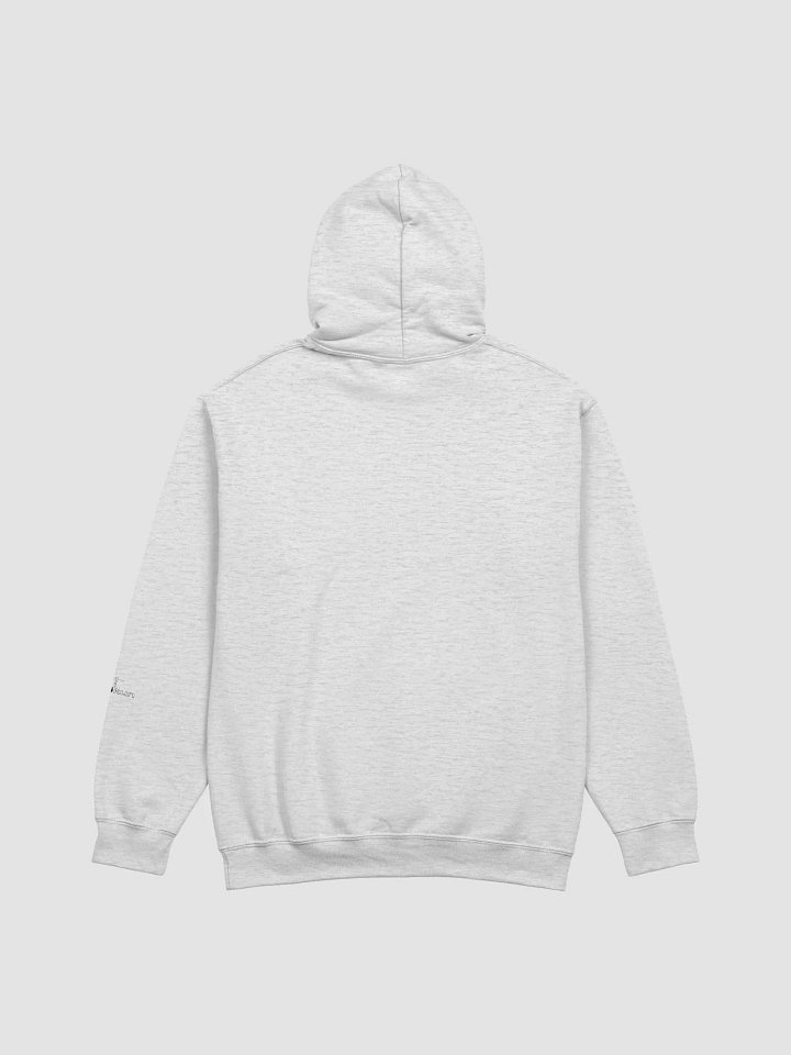 Conspiracy Leads To Spirituality - Gildan Classic Hoodie product image (2)