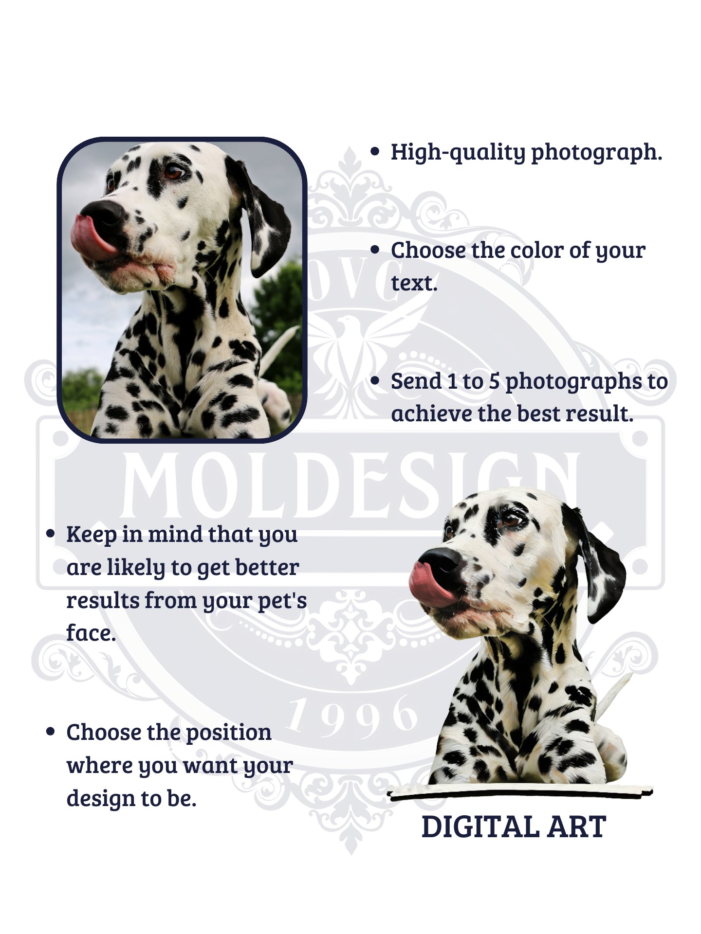 YOUR DALMATIAN! / T-SHIRT WITH PERSONALIZED NAME / DIGITAL ART III product image (5)