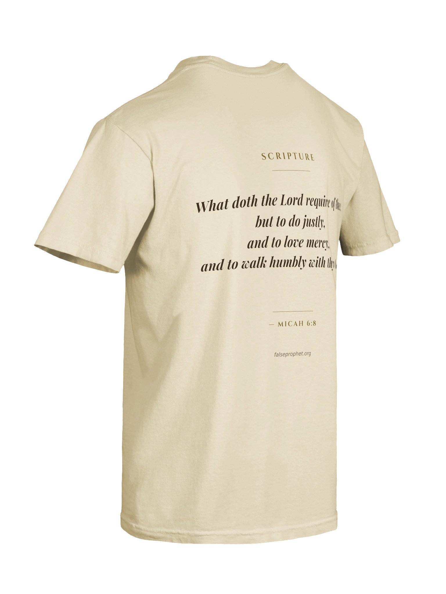 Micah 6:8/Walk Humbly T-Shirt (White) product image (8)