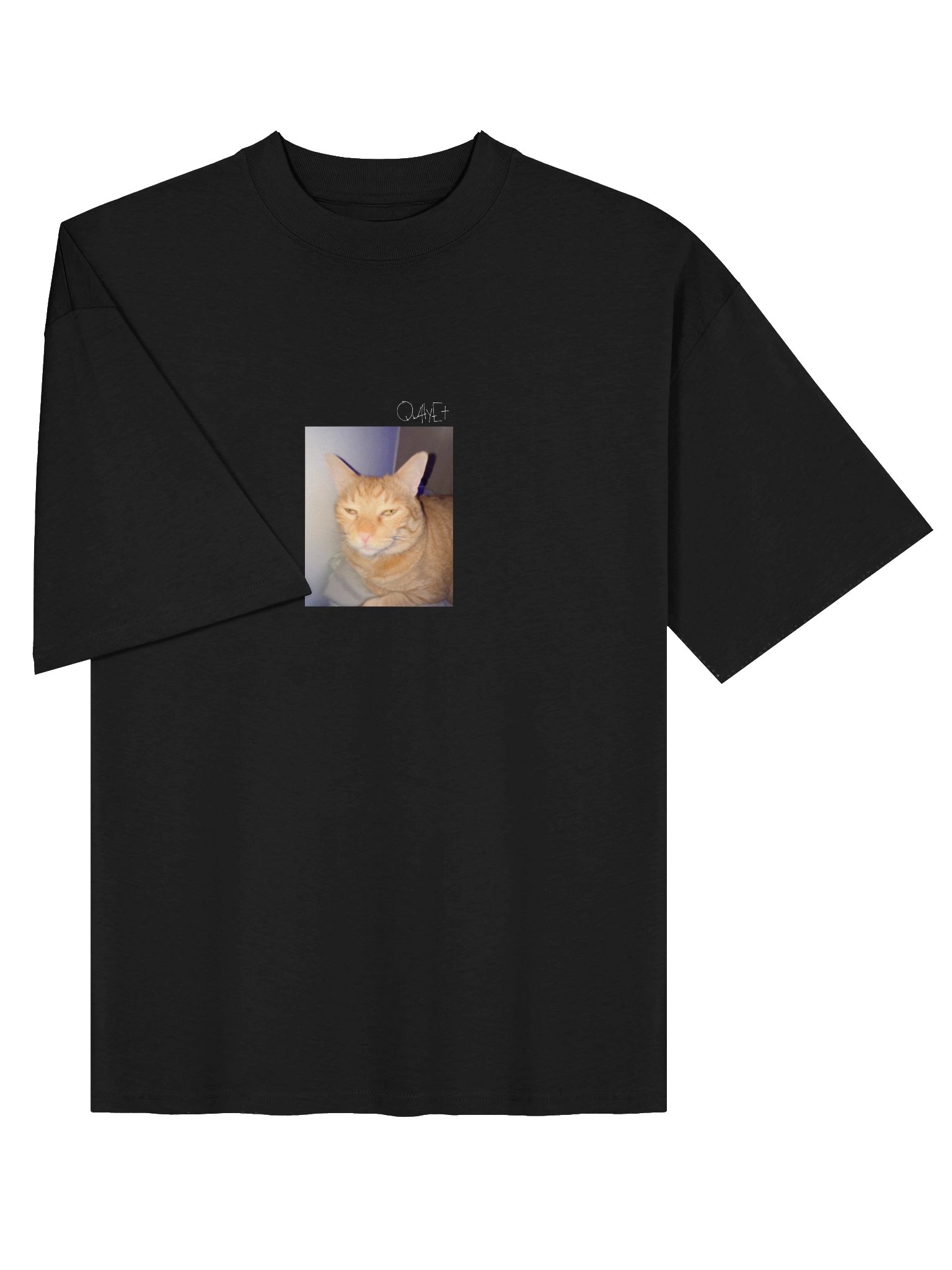 QWHYET LITTY KITTY Oversized Tee (WHITE LOGO) product image (3)