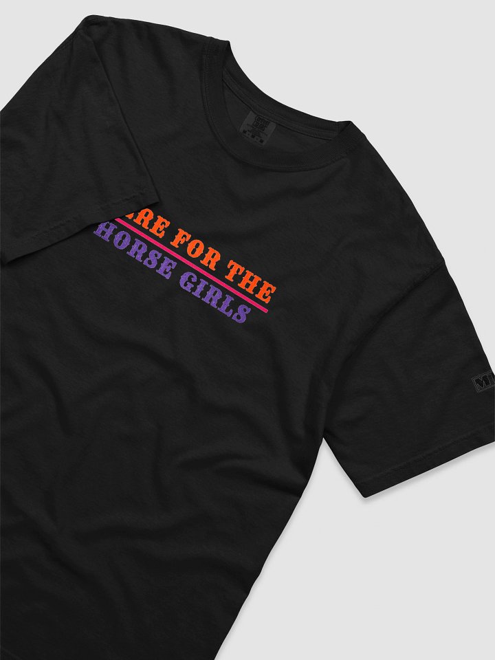 Here for The Horse Girls Embroidered Tee product image (2)