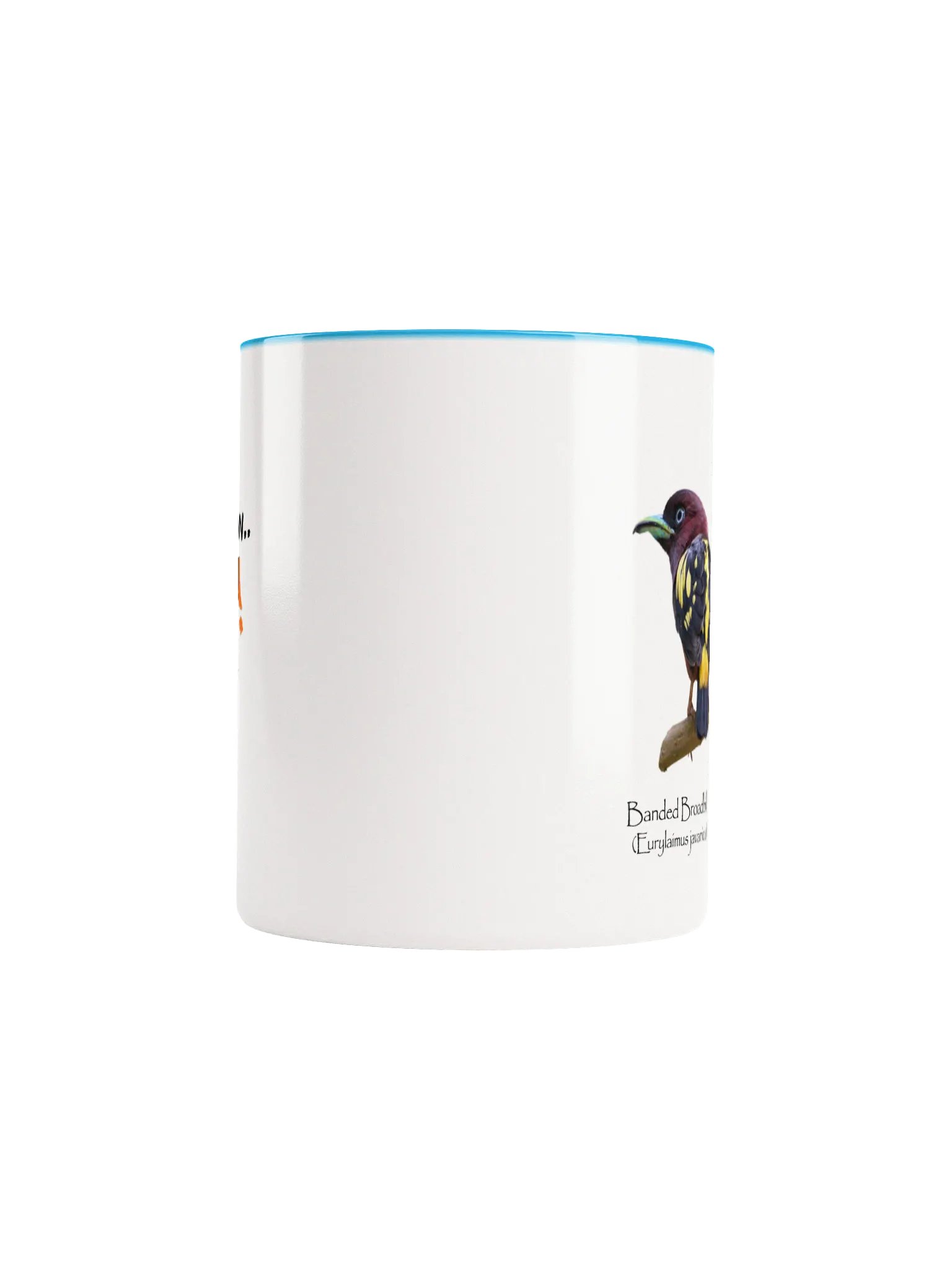 Banded Broadbill mug product image (5)