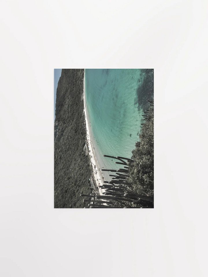 Cactus en Arraial do Cabo product image (2)