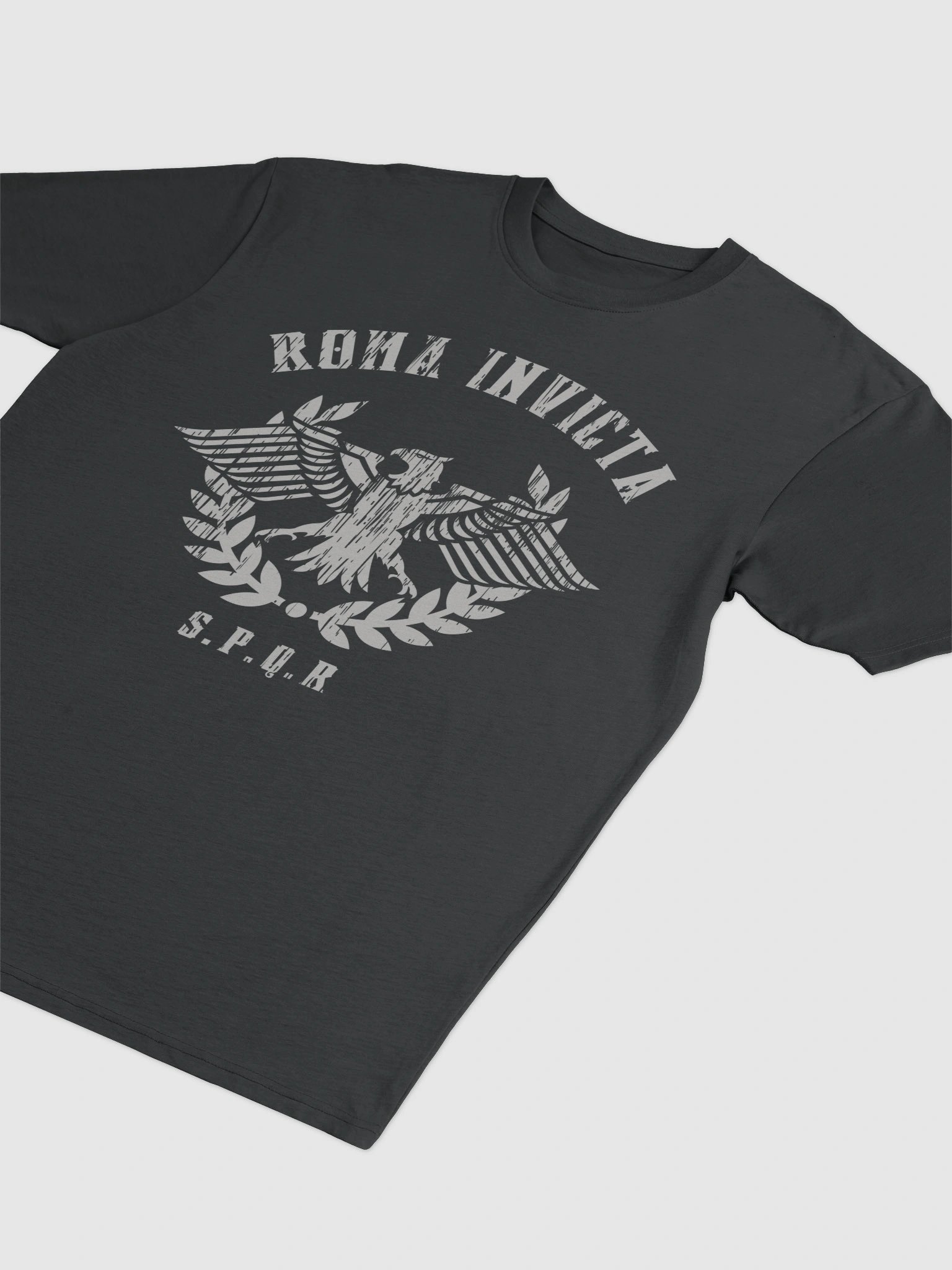 Roma Invicta Gym Gear Heavy Tee product image (13)