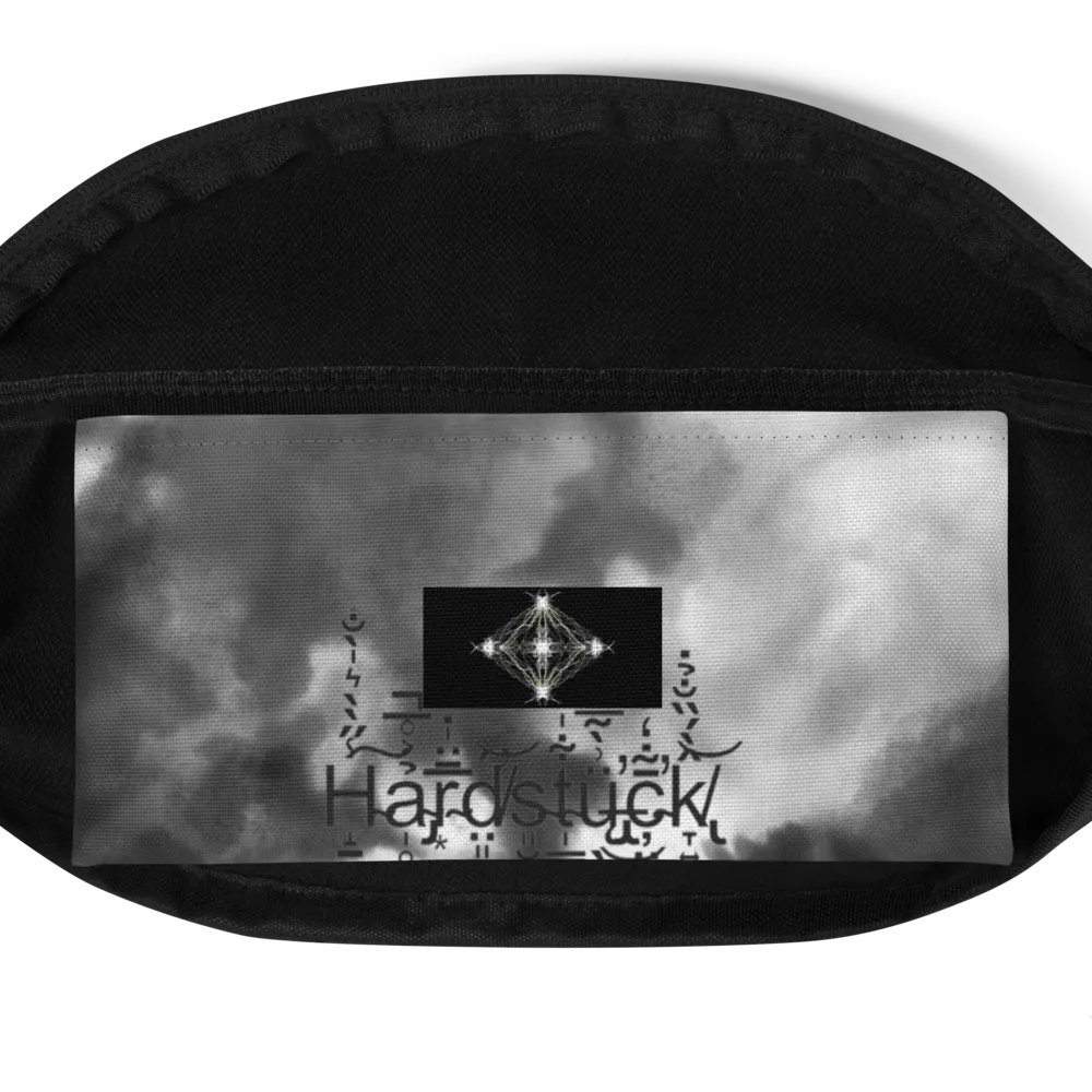 Fannypack/slingpack product image (4)