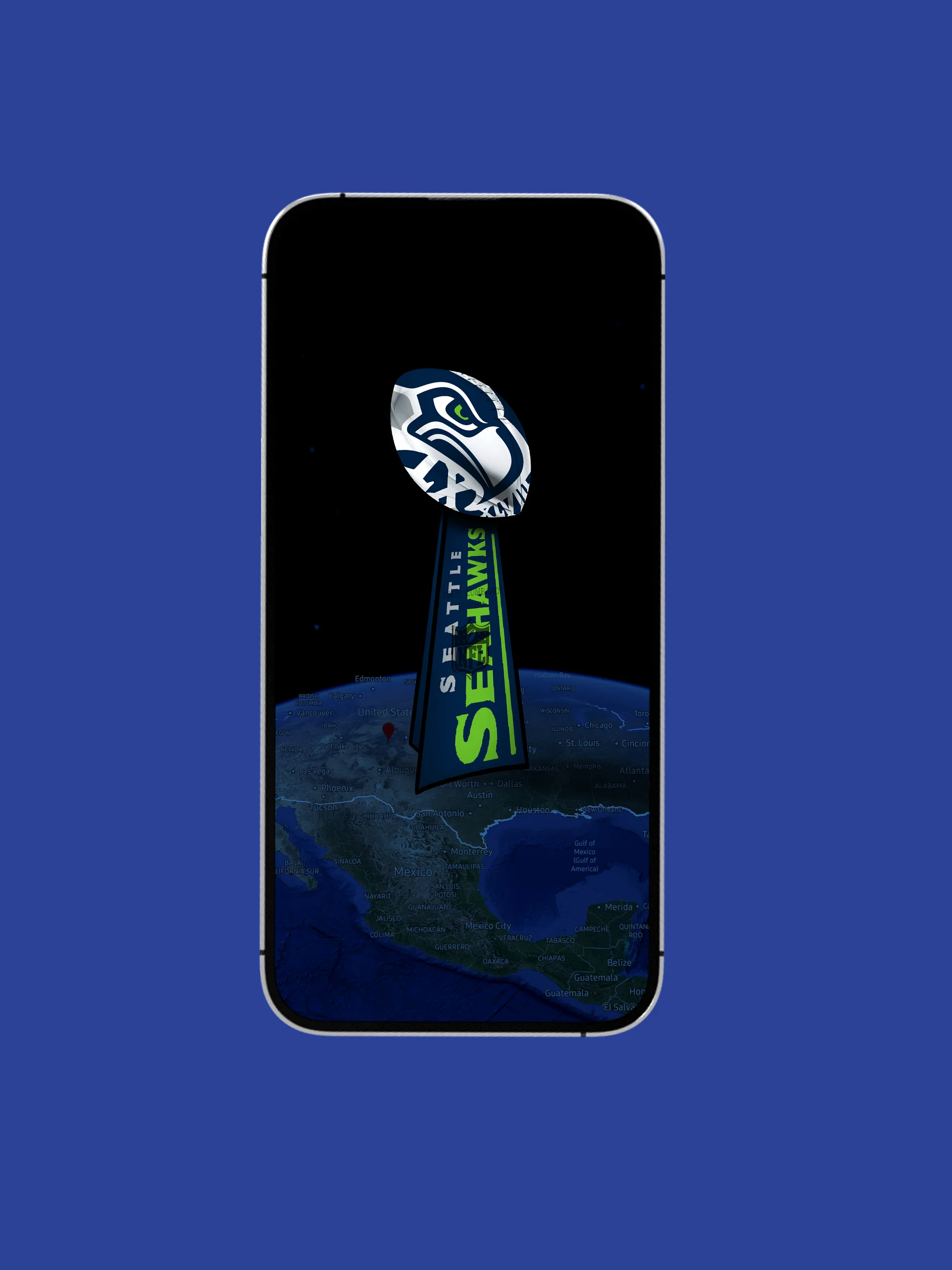 Seattle Seahawks NFL Champions product image (8)