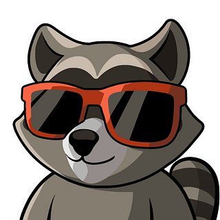 RespawnRaccoon