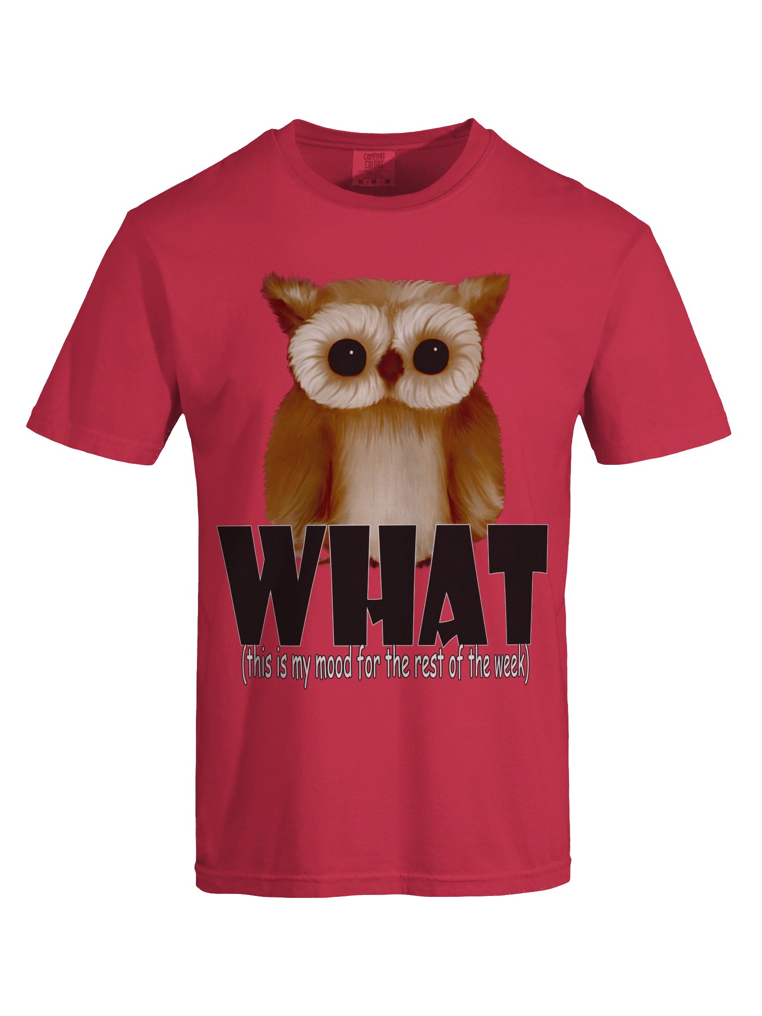 Owl "WHAT" T-Shirt. Men's Comfort Colors Garment-Dyed Heavyweight T-Shirt product image (4)