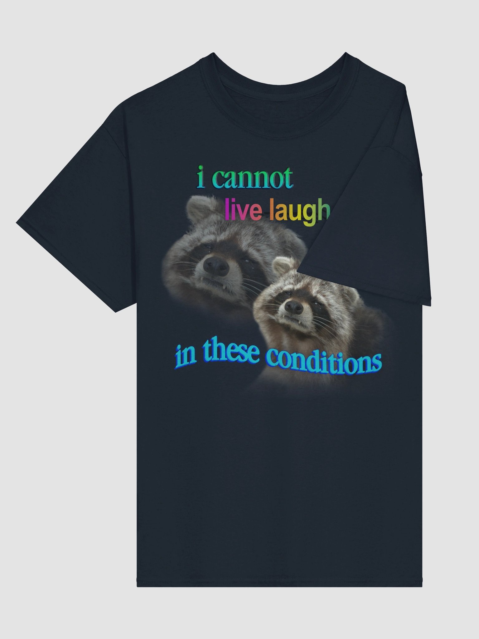 I cannot live laugh love in these conditions - raccoon T-shirt product image (100)