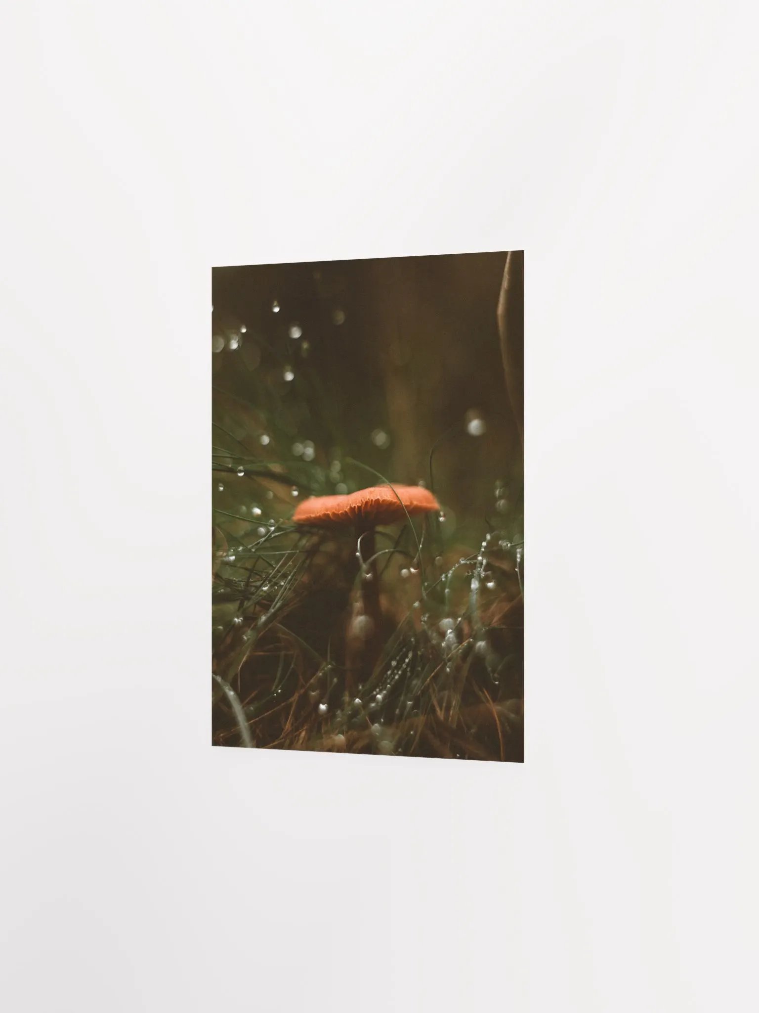 Vintage Mushroom product image (5)