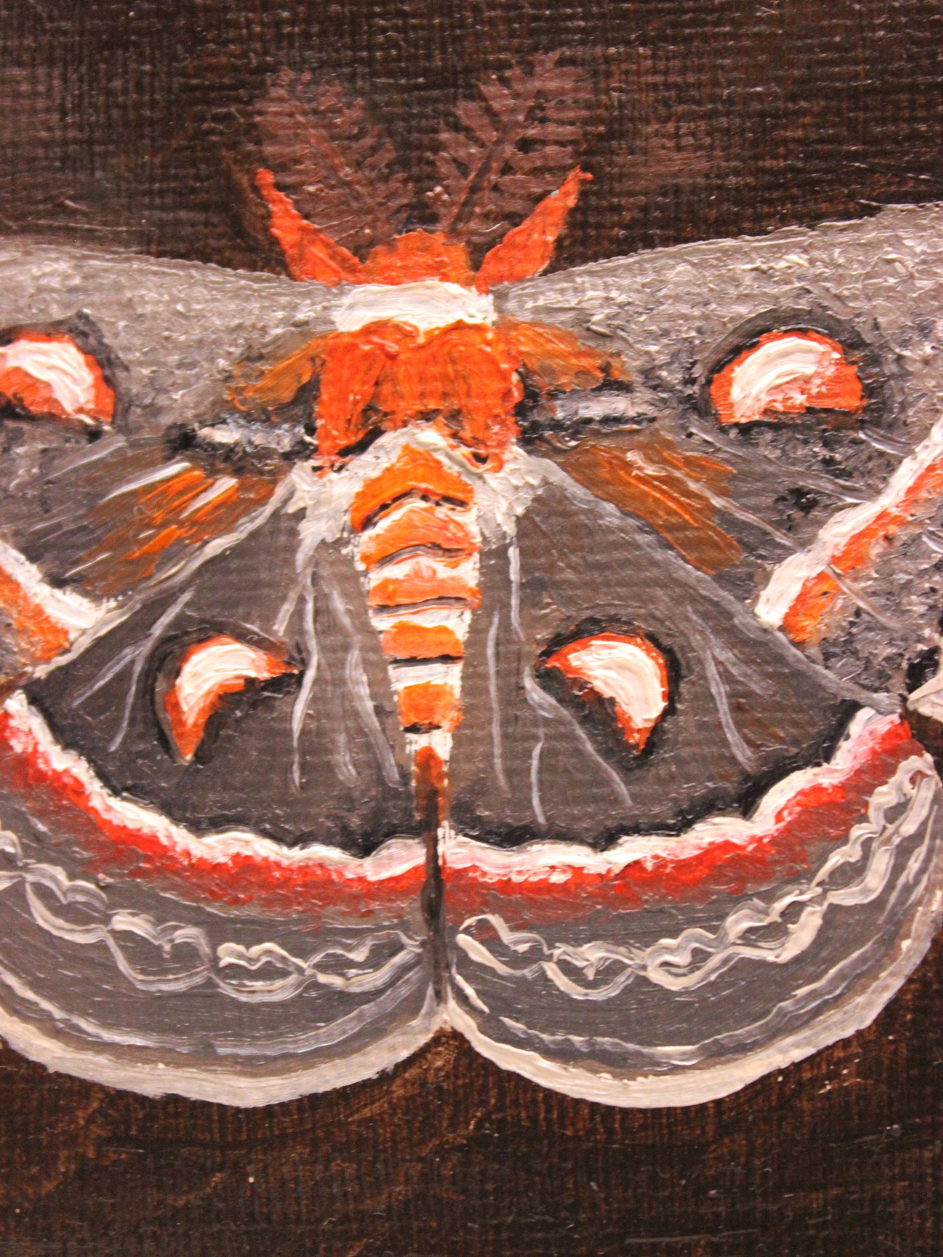 Damaged - Cecropia Moth Mini Oil Painting product image (2)