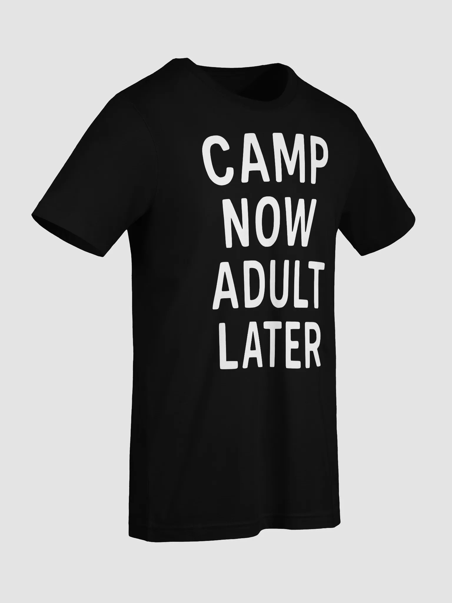 Camp Now Adult Later product image (10)