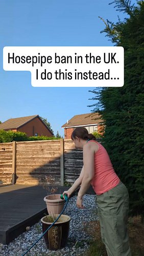 Every summer we experience hosepipe bans on the UK. To resolve this I learnt how to draw and now make me own botanical collec...