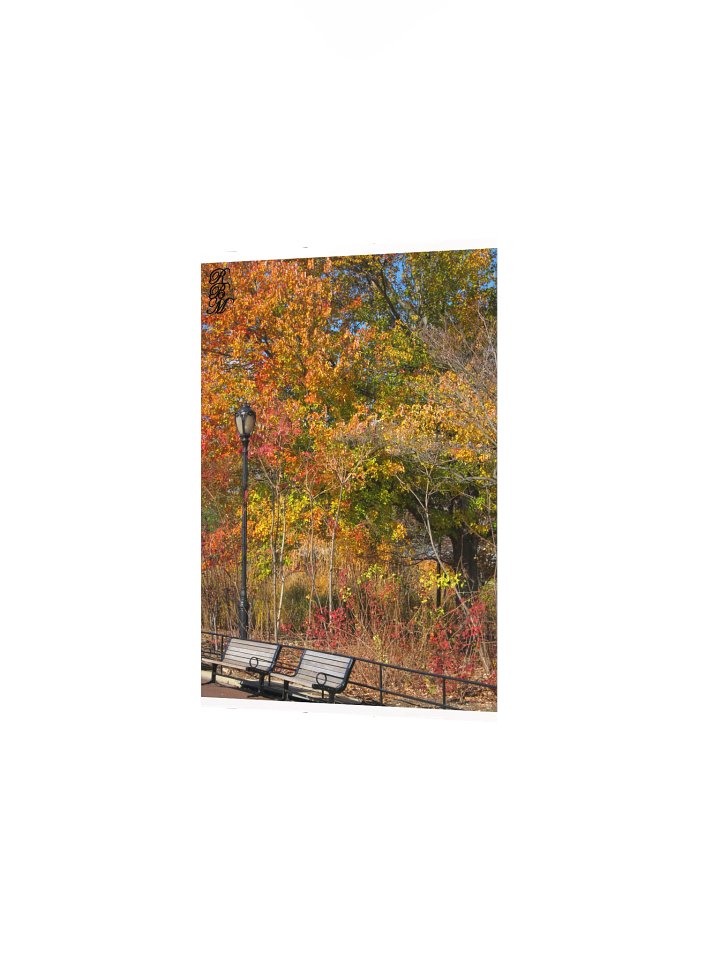 Park Bench and Autumn Leaves product image (3)