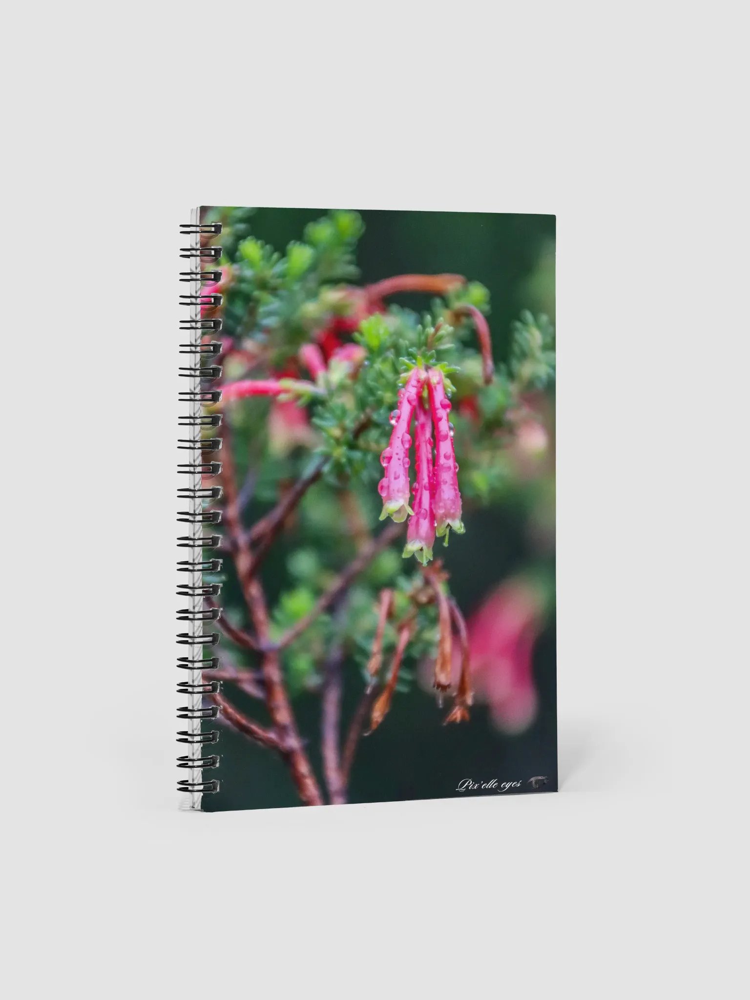 📓 Notebook Collection PURE – Jardin du Rayol – Erica Discolor product image (1)