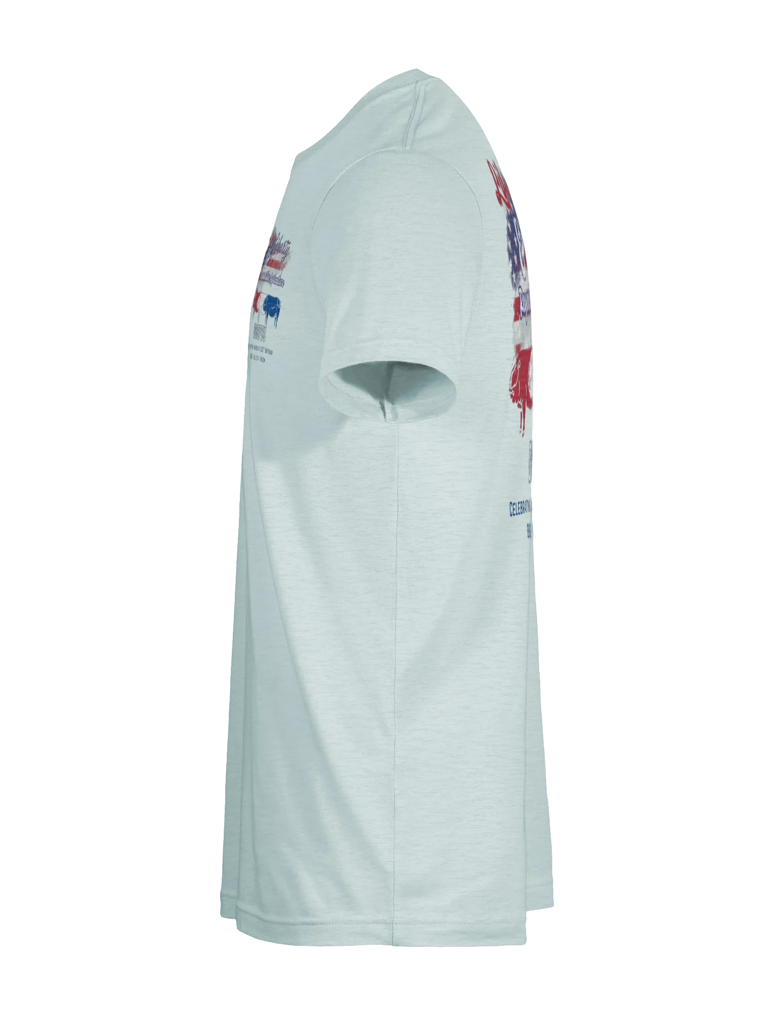 Liberty & Bacon Patriotic Pig Tee product image (9)