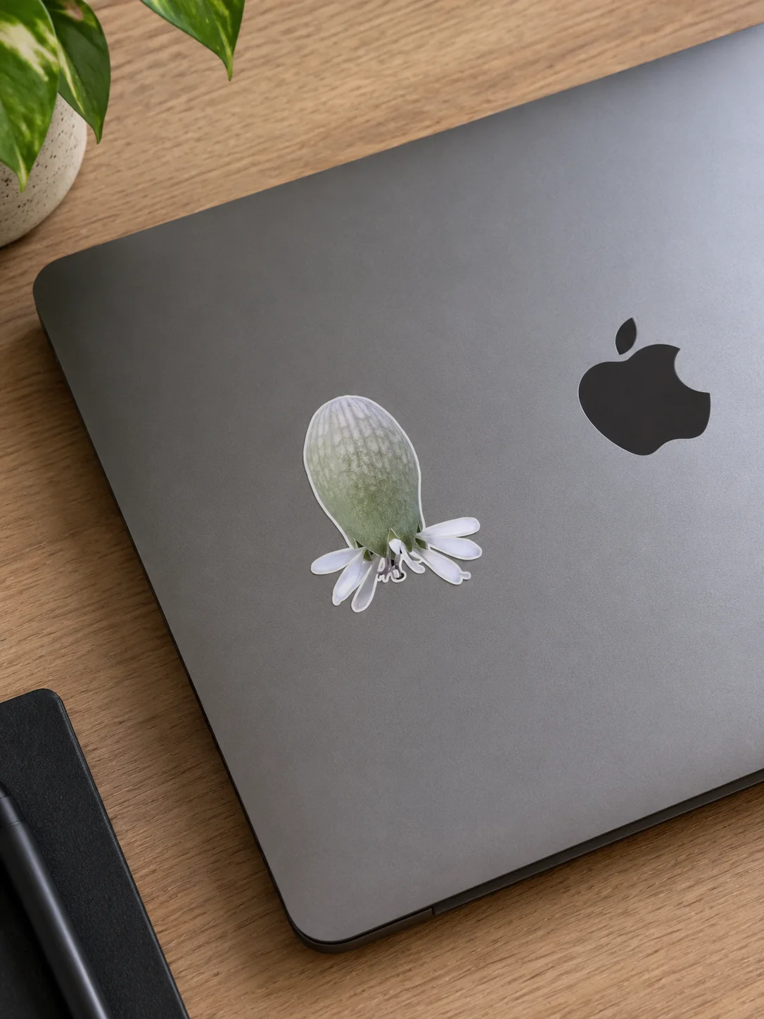 White Wildflower Sticker – Real Macro Photography product image (2)