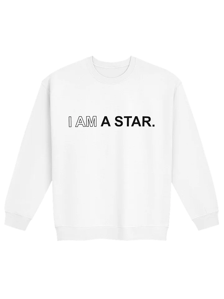 Ten Year Anniversary Gilden Sweatshirt product image (1)