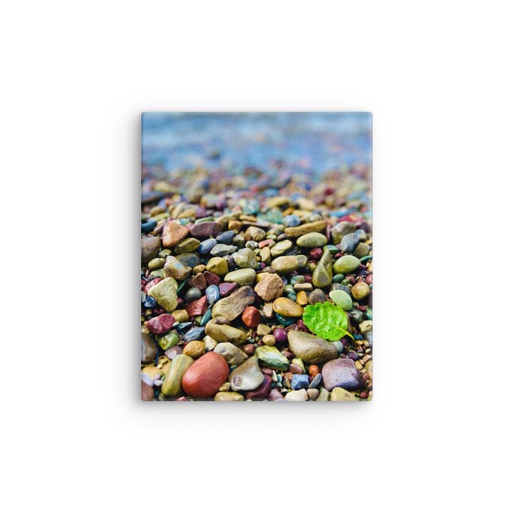 Diversity: Canvas Print product image (1)