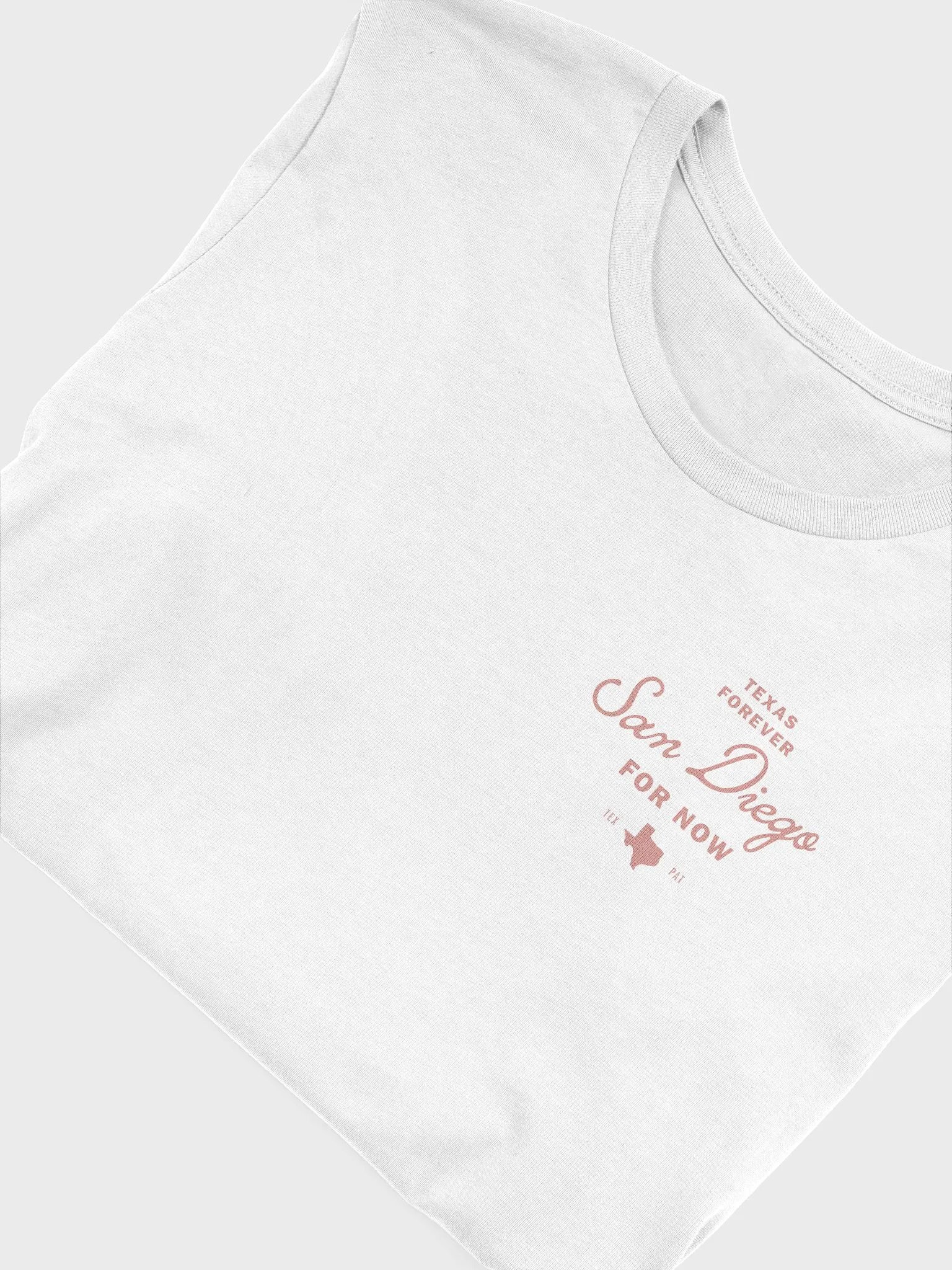 San Diego for now product image (5)