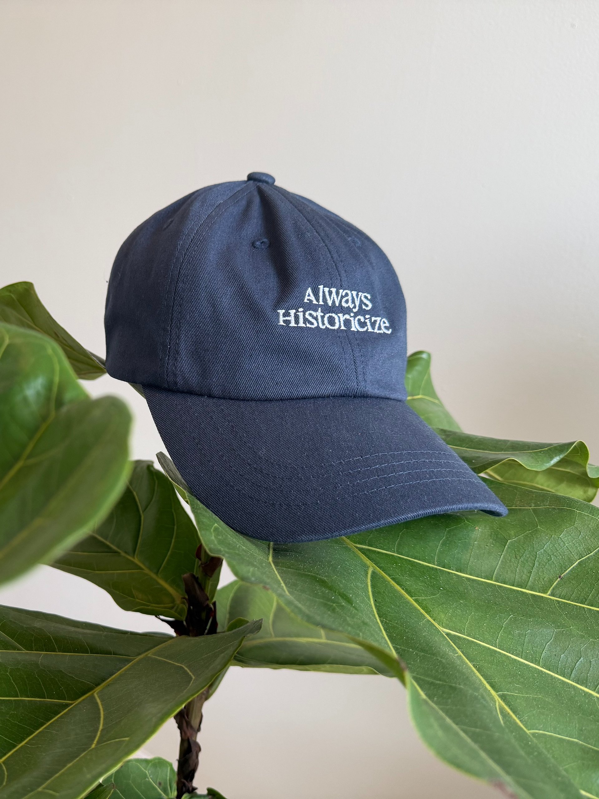 Always Historicize Dad Hat product image (3)